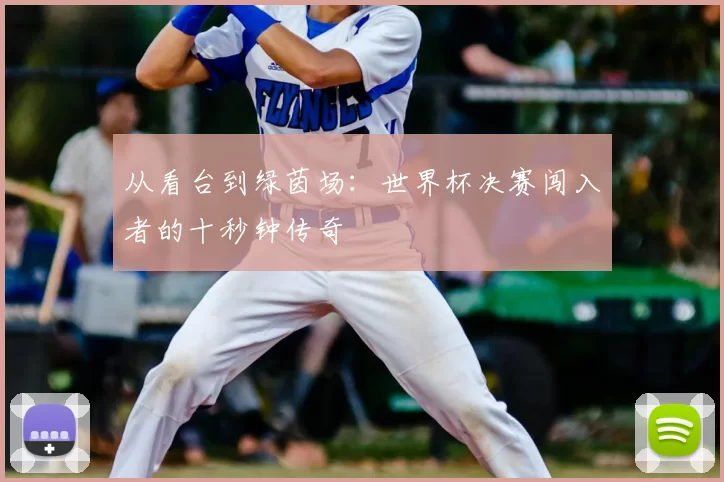 从看台到绿茵场:世界杯决赛闯入者的十秒钟传奇
