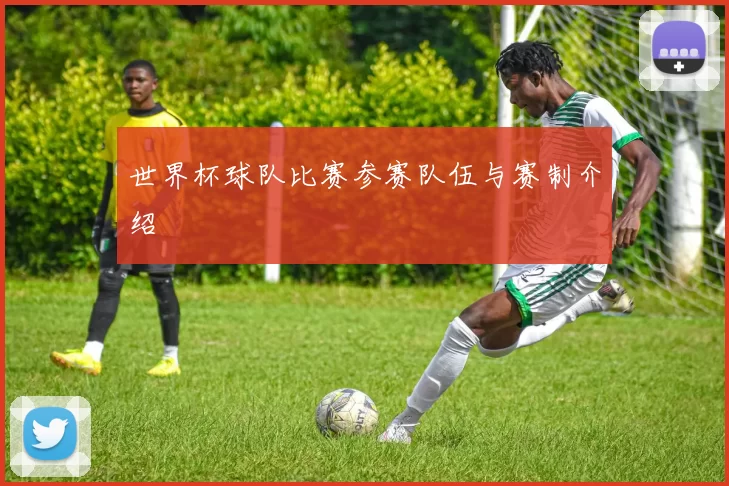 世界杯球队比赛参赛队伍与赛制介绍