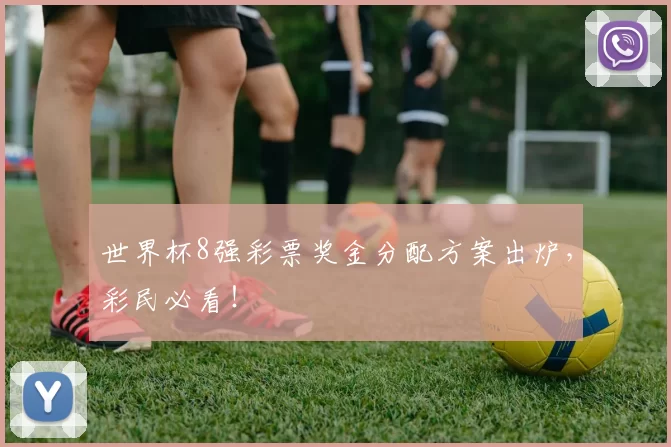 世界杯8强彩票奖金分配方案出炉,彩民必看!