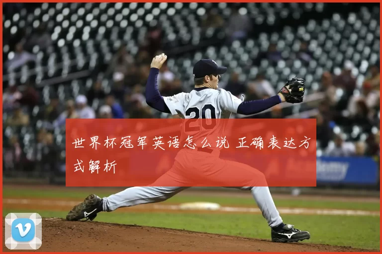 世界杯冠军英语怎么说 正确表达方式解析