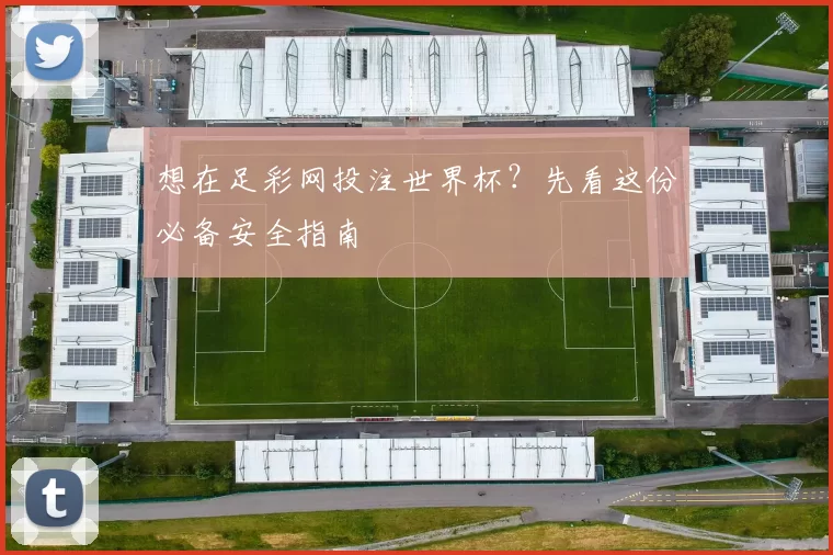 想在足彩网投注世界杯?先看这份必备安全指南
