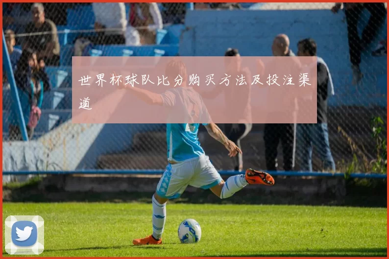 世界杯球队比分购买方法及投注渠道