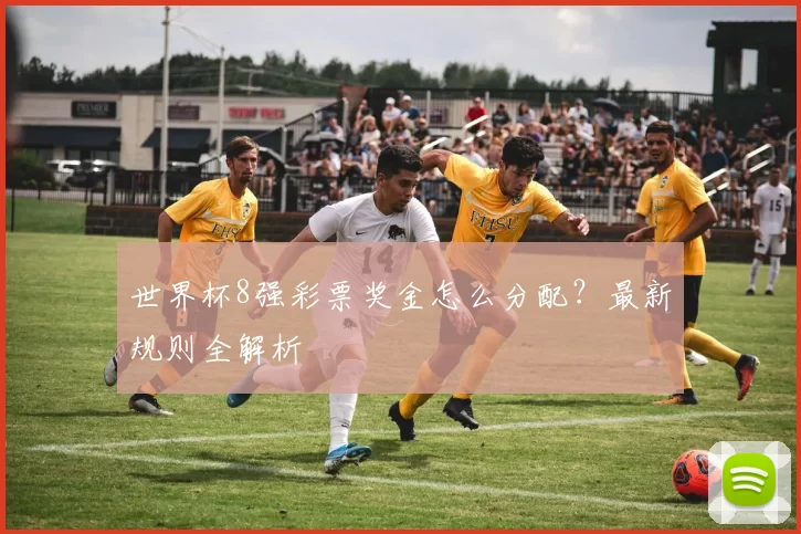 世界杯8强彩票奖金怎么分配?最新规则全解析