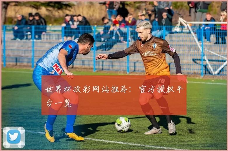 世界杯投彩网站推荐:官方授权平台一览