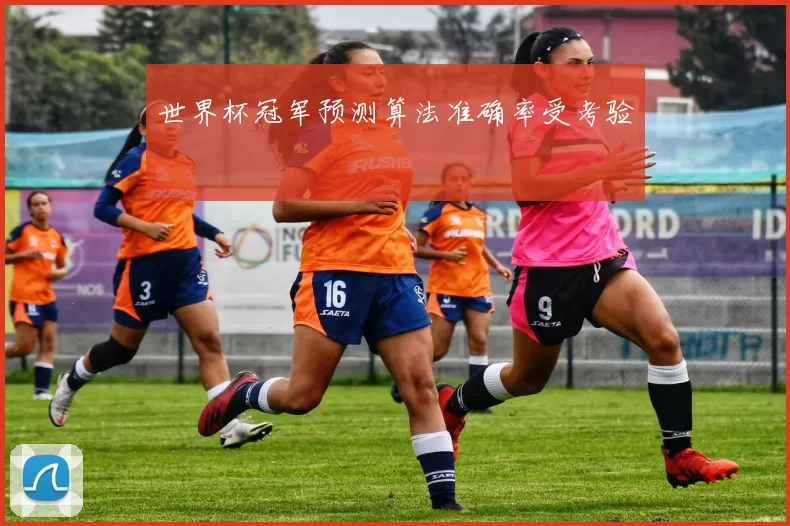 世界杯冠军预测算法准确率受考验