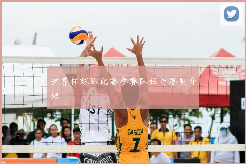 世界杯球队比赛参赛队伍与赛制介绍