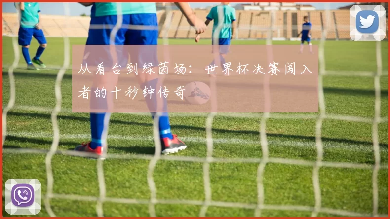 从看台到绿茵场:世界杯决赛闯入者的十秒钟传奇