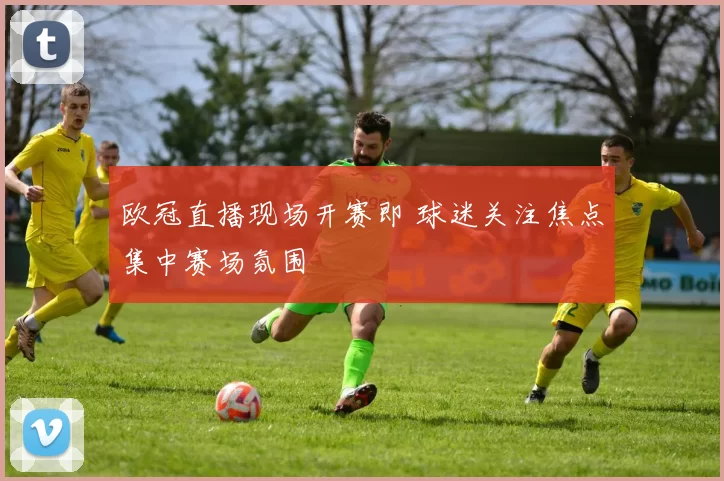 欧冠直播现场开赛即 球迷关注焦点集中赛场氛围