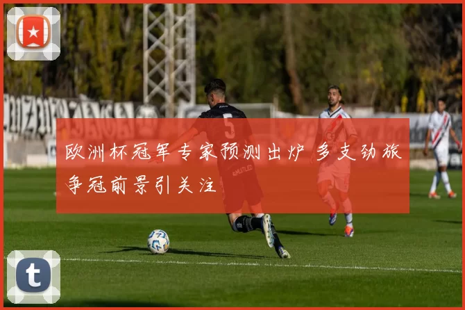 欧洲杯冠军专家预测出炉 多支劲旅争冠前景引关注