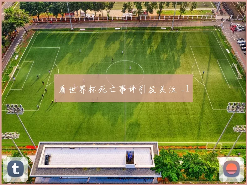 看世界杯死亡事件引发关注 _1