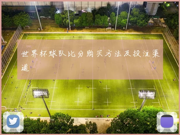 世界杯球队比分购买方法及投注渠道