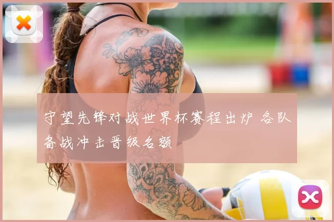守望先锋对战世界杯赛程出炉 各队备战冲击晋级名额