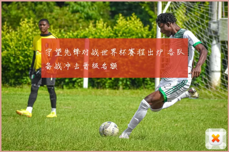 守望先锋对战世界杯赛程出炉 各队备战冲击晋级名额