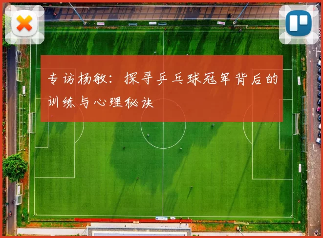 专访杨敏:探寻乒乓球冠军背后的训练与心理秘诀