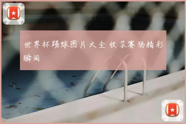 世界杯踢球图片大全 收录赛场精彩瞬间