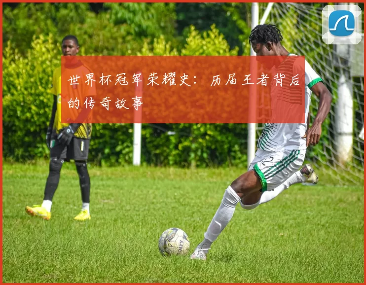 世界杯冠军荣耀史:历届王者背后的传奇故事